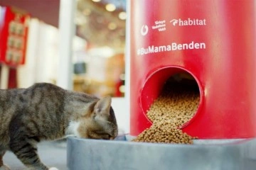 Pet shop alışverişi sokak hayvanları için mamaya dönüşüyor